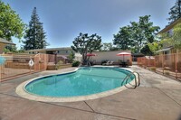 The Pines Apartments in Campbell, CA - Foto de edificio - Building Photo