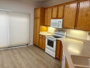 453 Star Glow Pl in Folsom, CA - Building Photo - Building Photo