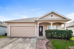 11607 Morgan's Point St in Manor, TX - Building Photo