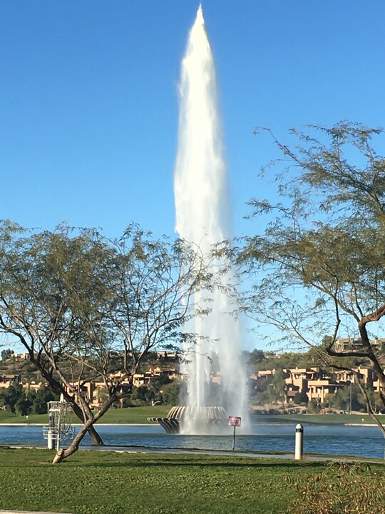 17031 E El Lago Blvd in Fountain Hills, AZ - Building Photo