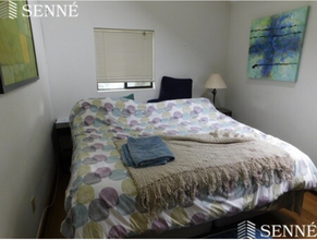 351 Norfolk St, Unit 1 in Cambridge, MA - Foto de edificio - Building Photo