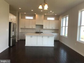 41313 Red Birch Dr in Stone Ridge, VA - Building Photo