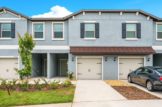 30756 Veridian Wy in Wesley Chapel, FL - Building Photo - Building Photo