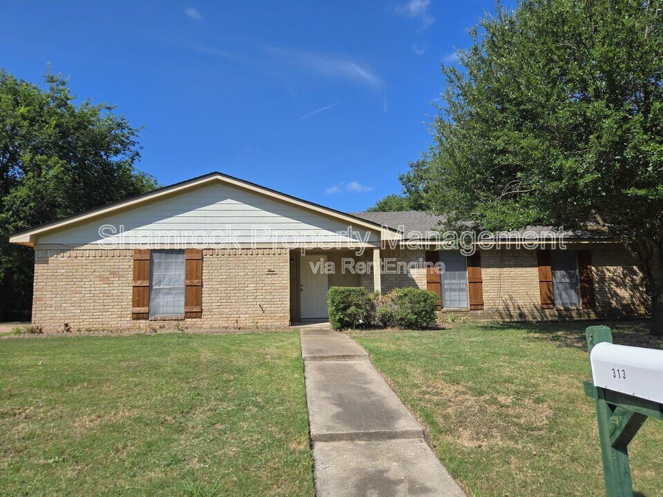 313 Travis Ln in Hewitt, TX - Building Photo
