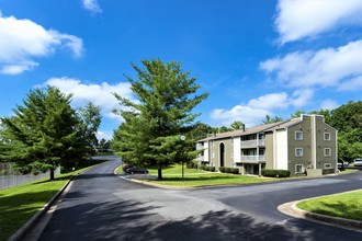 Brandy Mill in Kingsport, TN - Building Photo - Building Photo