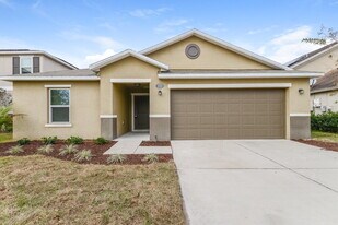 11503 Tangle Branch Ln in Gibsonton, FL - Building Photo