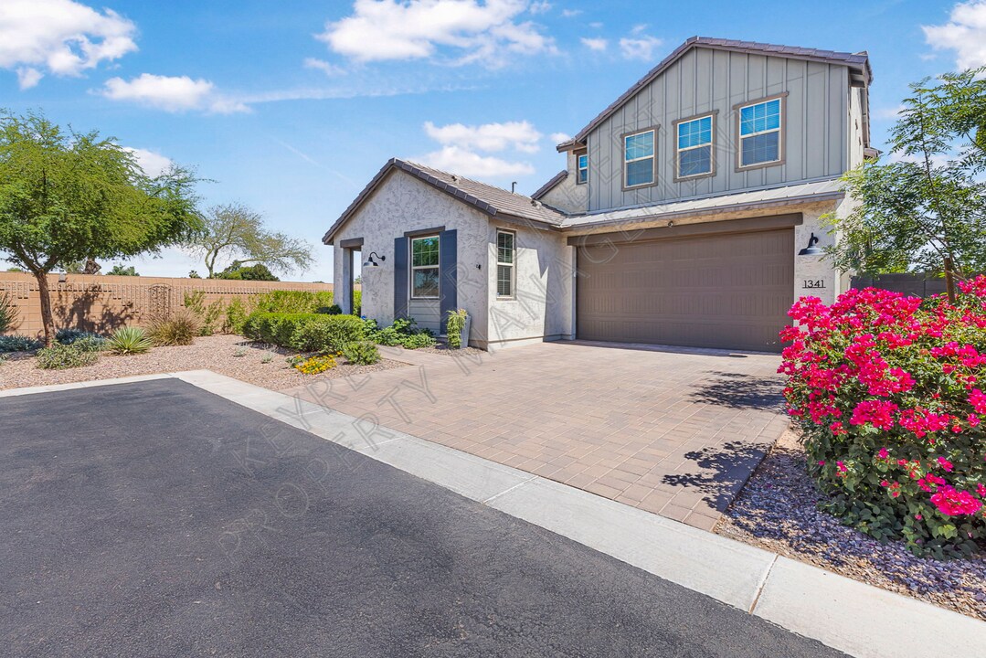 1341 E Springfield Pl in Chandler, AZ - Building Photo