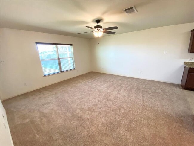 201 Sapphire Ln in Jarrell, TX - Building Photo - Building Photo
