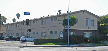 3706 Motor Ave in Los Angeles, CA - Building Photo - Building Photo