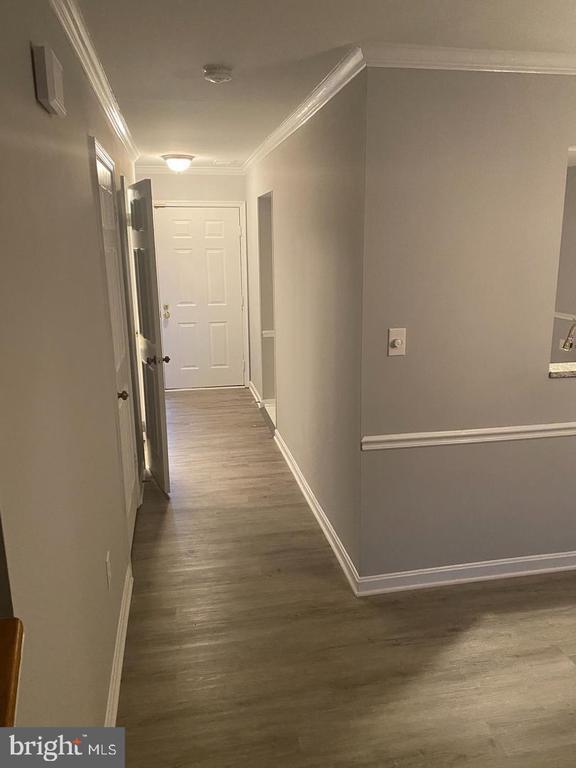5925 Heatherwood Ct in Alexandria, VA - Building Photo - Building Photo