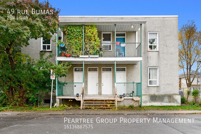 property at 49 Rue Dumas