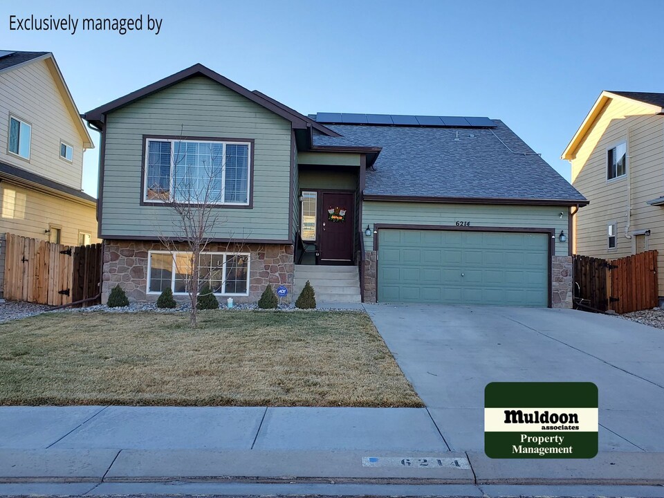 6214 Saddlebred Way in Colorado Springs, CO - Building Photo