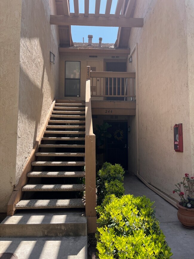 property at 245 Orange Blossom