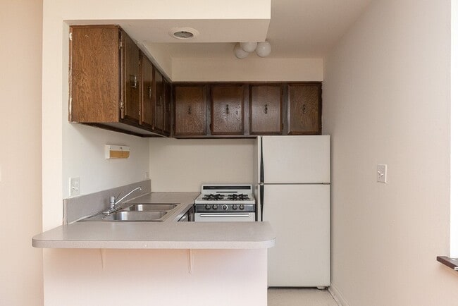 663 W Grace St, Unit 115 in Chicago, IL - Building Photo - Building Photo