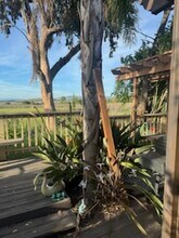 270 Dutch Flat Ct, Unit Studio in American Canyon, CA - Building Photo - Building Photo