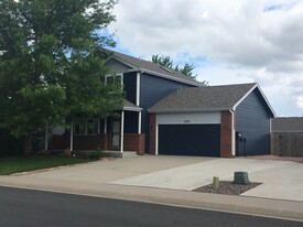 809 Scotch Pine Dr in Severance, CO - Building Photo