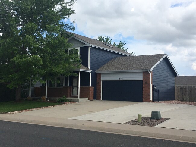 property at 809 Scotch Pine Dr