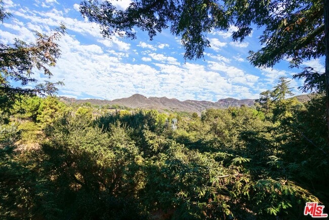 730 Basin Dr in Topanga, CA - Building Photo - Building Photo