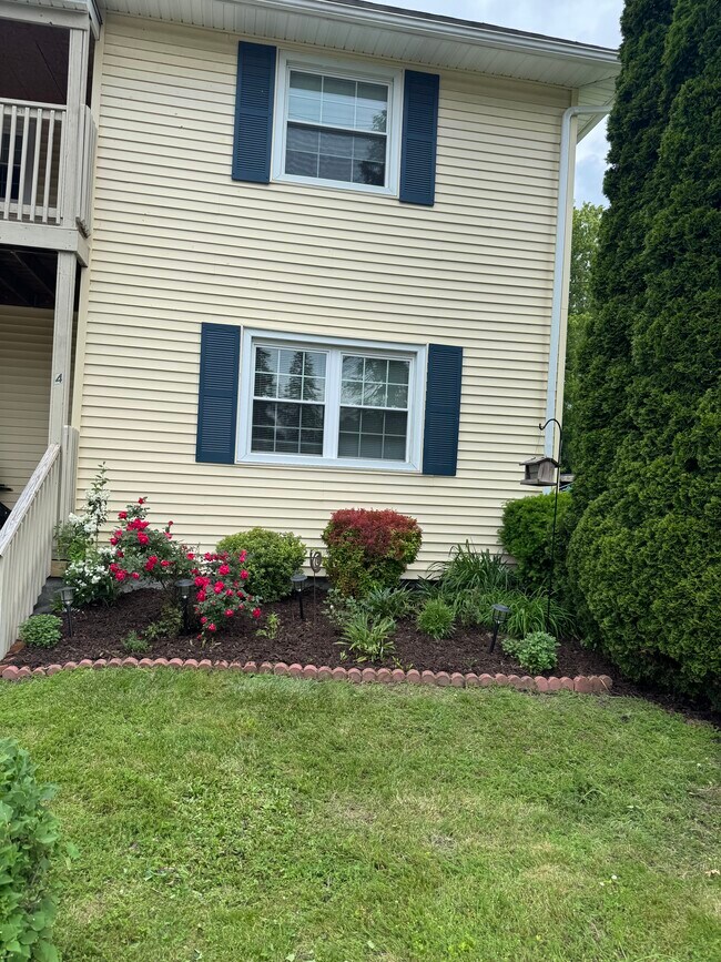 4 Hart St, Unit Downstairs