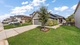 11727 Black Rose in San Antonio, TX - Building Photo