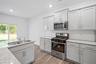 16117 Trenton Green Ln in Charlotte, NC - Building Photo - Building Photo
