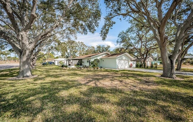 969 Gulf View Blvd in Dunedin, FL - Building Photo - Building Photo