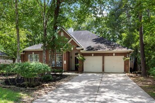 11 Belcarra Pl in Spring, TX - Building Photo