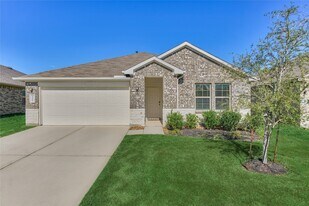 13959 Leigh Lake Ln in Shenandoah, TX - Building Photo