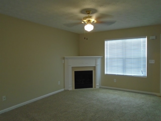 812 Carlton Pointe Pl in Palmetto, GA - Building Photo - Building Photo