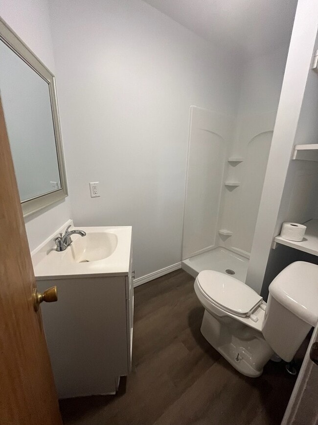 305 E Grove St in Greenville, MI - Building Photo - Building Photo