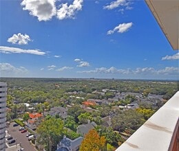 4015 Bayshore Blvd in Tampa, FL - Building Photo - Building Photo