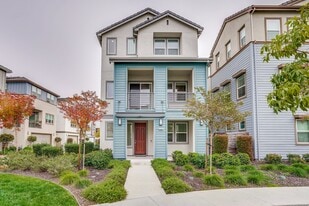2248 Solace Loop in San Jose, CA - Building Photo