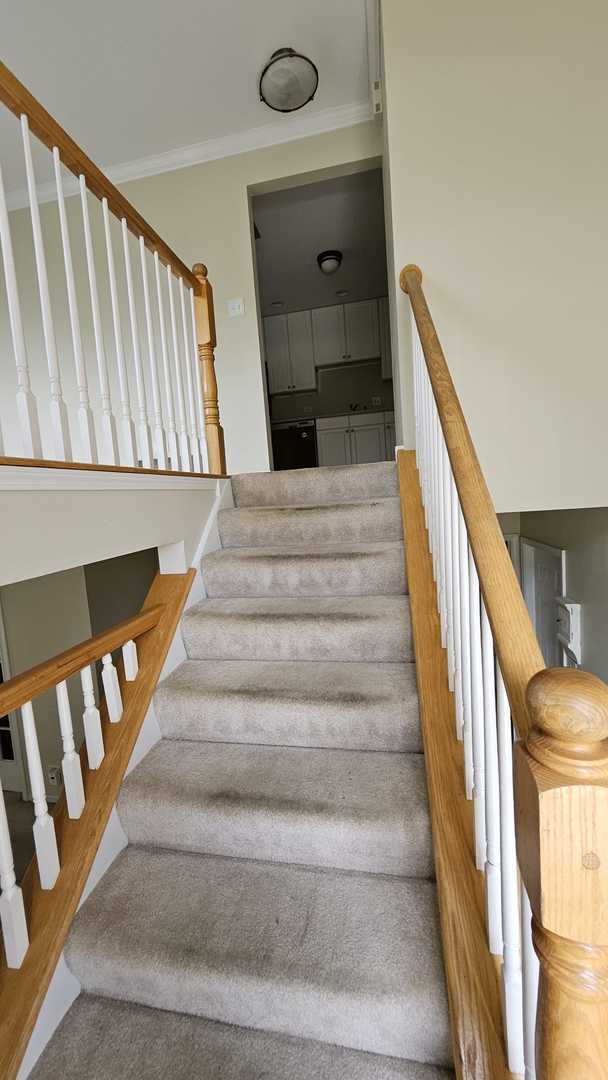 955 Elderberry Cir in Naperville, IL - Building Photo - Building Photo
