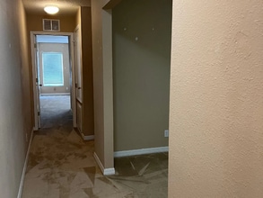 249 Hardcastle Pl in Valrico, FL - Building Photo - Building Photo