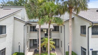 551 Finchley Rd in Maitland, FL - Building Photo