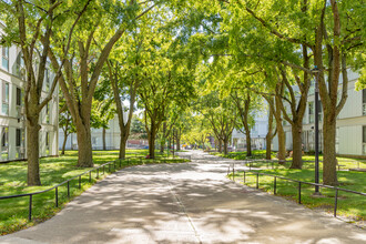 Lake Grove Village in Chicago, IL - Building Photo - Building Photo