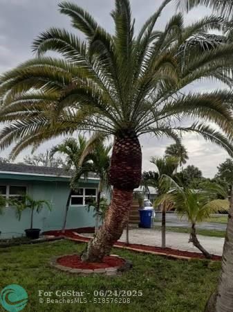 property at 1561 SW 30th St
