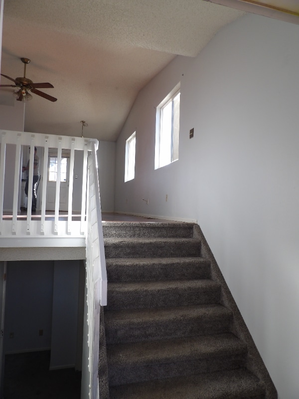 4702 Witches Hollow Ln in Colorado Springs, CO - Foto de edificio - Building Photo