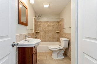 1235 E Madison Park, Unit 1a in Chicago, IL - Building Photo - Building Photo