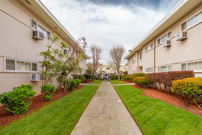 Lorenzo Commons in San Lorenzo, CA - Building Photo - Building Photo