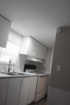 15101 N 15th St in Lutz, FL - Building Photo