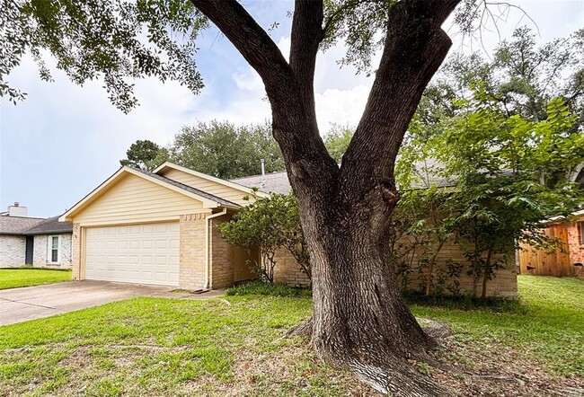 1019 Three Forks Dr in Katy, TX - Building Photo - Building Photo