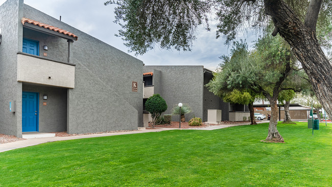 Cottonwood Creek in Tucson, AZ - Foto de edificio - Building Photo