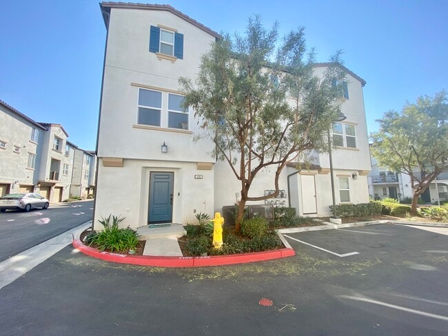 property at 1135 Calle Montana