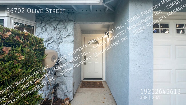 property at 36702 Olive St