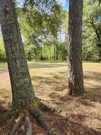 14519 Oakleaf Dr photo'