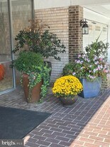 319 Cooper Landing Rd in Cherry Hill Township, NJ - Building Photo