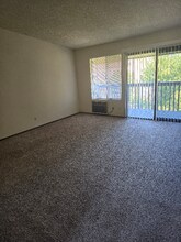 385 Murphy Ave in Sebastopol, CA - Building Photo - Building Photo