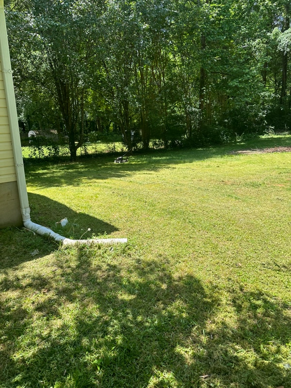 property at 124 Ashland Dr