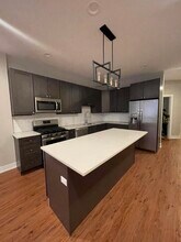 215 S Hamilton Ave in Chicago, IL - Building Photo - Building Photo